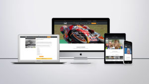 Responsive Onlineshop mit WordPress / WooCommerce