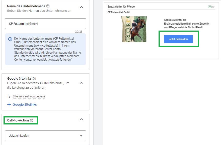 Google Ads Max. Performance Kampagnen: Call-to-Action