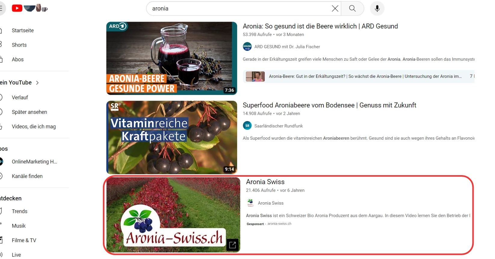 Beispiel für eine In-Feed Anzeige